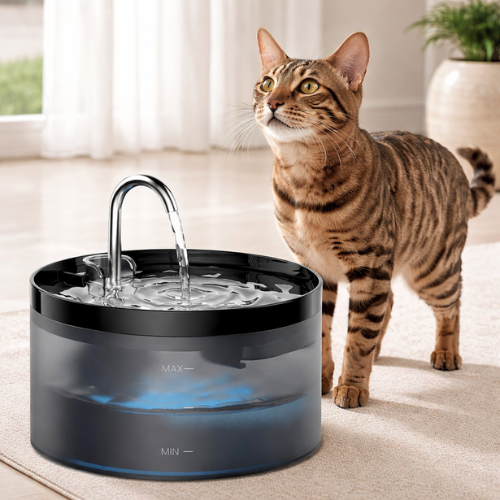PET CARE