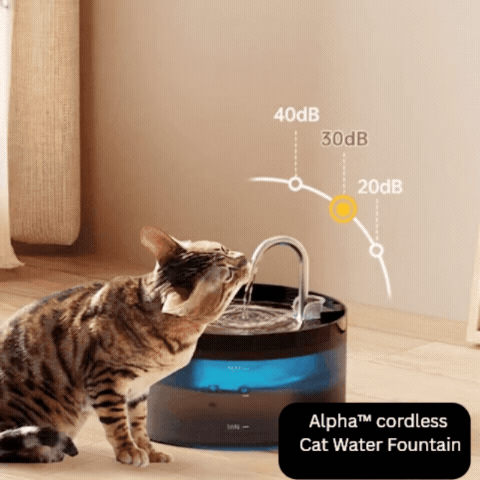 Multiple filtration systems
