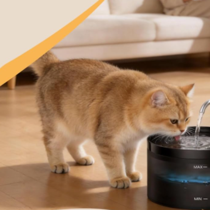 Alpha™ cordless Cat Water Fountain